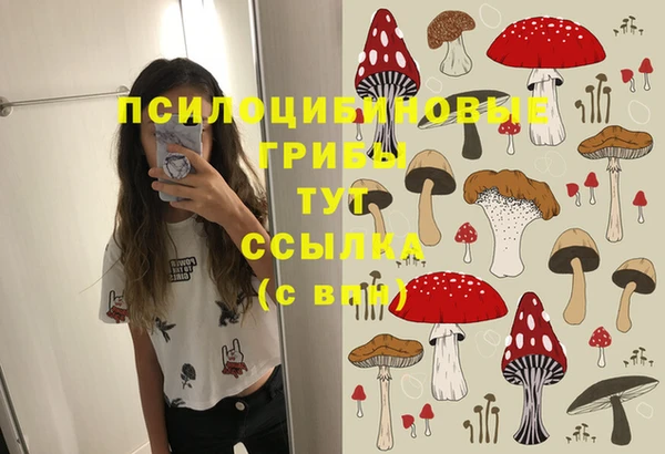 ALPHA PVP Кодинск