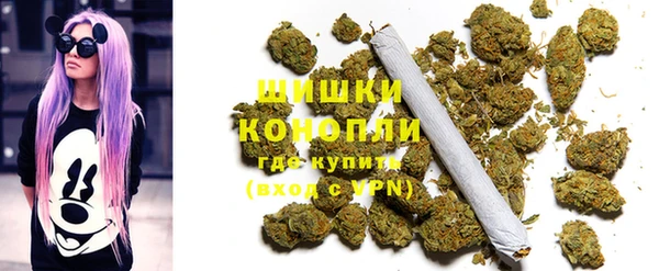 дживик Козловка